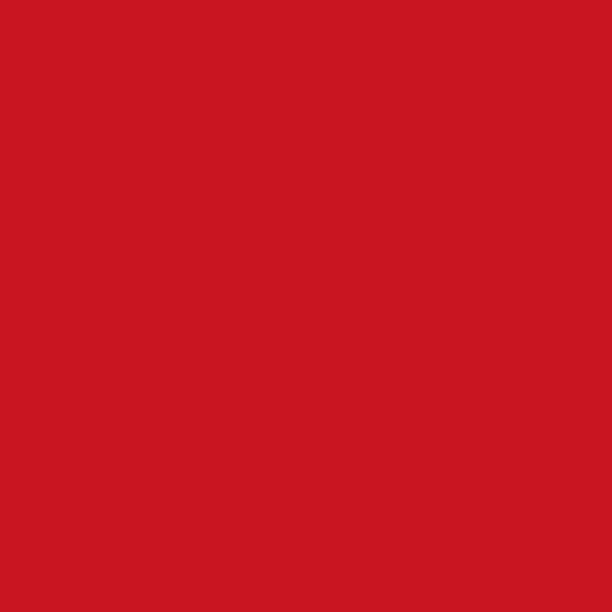 Avery 503 Geranium red matt