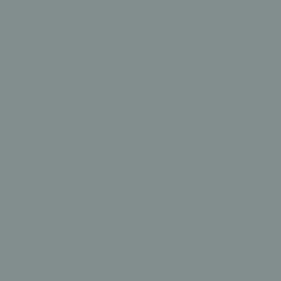 Avery 918 SC Grey vinyl