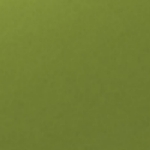 avery swf pearl light green