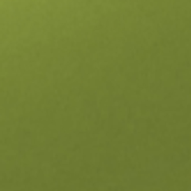 avery swf pearl light green