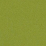 avery swf matt metallic yellow green