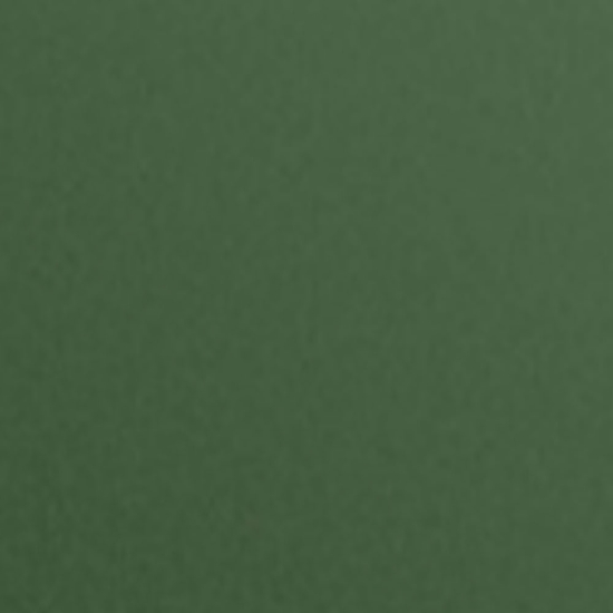 avery swf matt metallic moss green