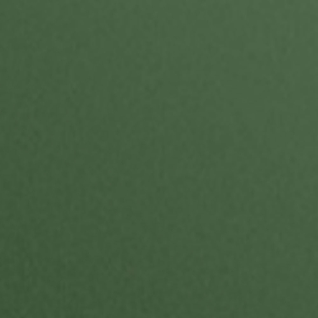 avery swf matt metallic moss green