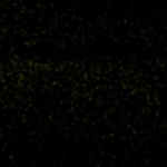 avery swf gloss metallic eclipse