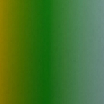 avery swf colorflow series gloss fresh spring gold silver