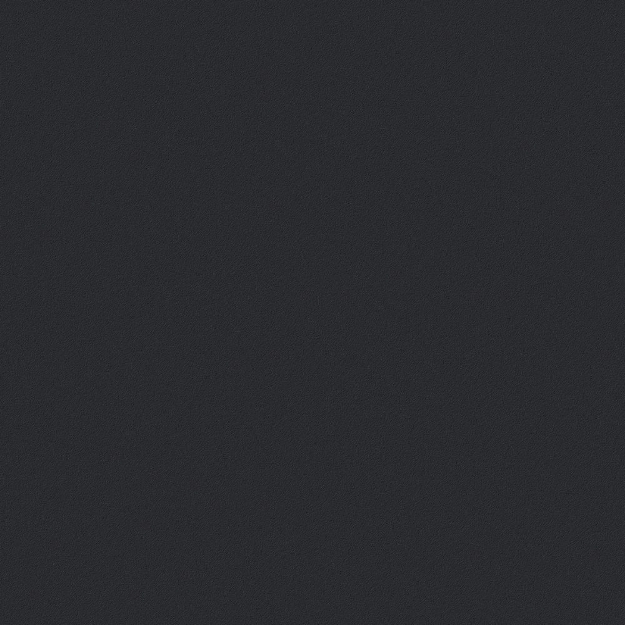 LX Hausys Solid RS22 