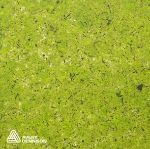 Avery Organoid Moss Bright Green Opaque