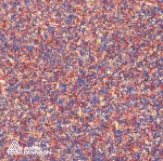Cornflower Effect Wallpaper from Avery Organoid Natural Surfaces - Wall covered in Cornflower Petals