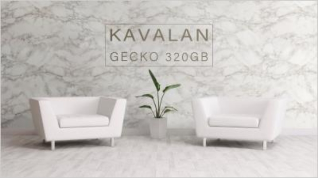 Picture of Kavalan Gecko 320B