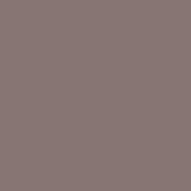 Picture of Avery 818-01 PC Safari Brown Matt 1.23 x 50m
