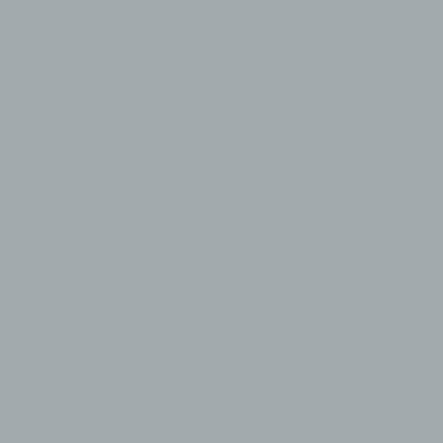 Picture of Avery 886-01 PC Mouse Grey 1.23 x 50m