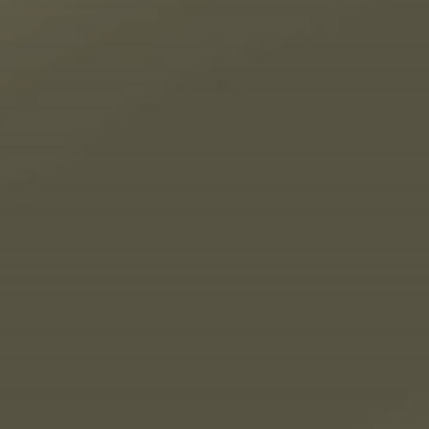 Picture of Avery SWF Satin Khaki Green 1.52 x 25m