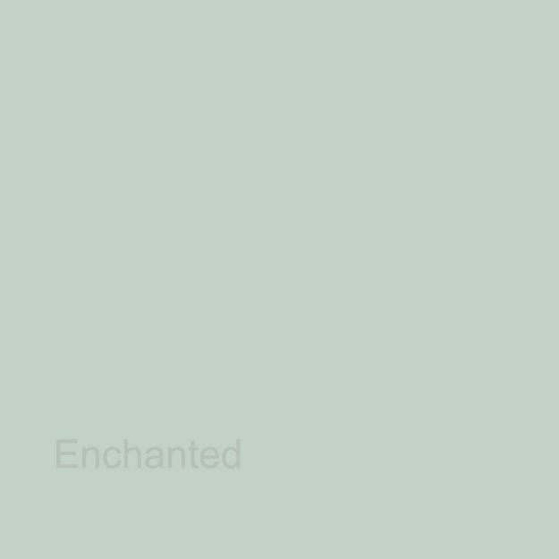 Picture of PALCLAD® Prime (CE) Cladding Satin Enchanted 2.5mm 1220 x 3050mm